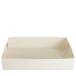 Cake Tray M Style Large 244X170X43mm