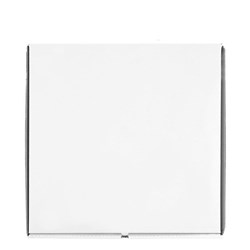Pizza Box Plain White 15 Inch