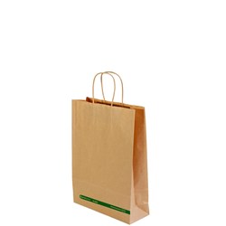 Paper Carry Bag Twist Handle Small Kraft Brown 350X260X90mm
