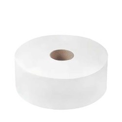Toilet Tissue Roll 2 Ply Recycled White 300m