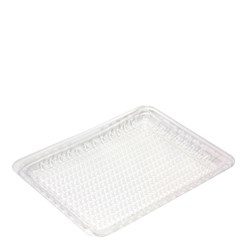 Tray Moist lock RPET Clear 11x9 Inch